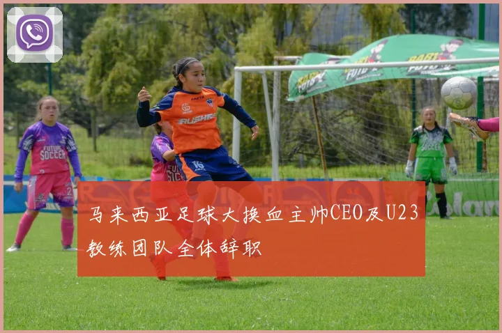 马来西亚足球大换血主帅CEO及U23教练团队全体辞职
