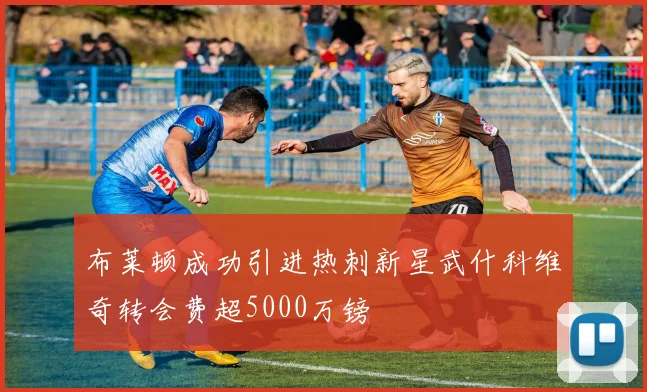 布莱顿成功引进热刺新星武什科维奇转会费超5000万镑